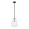Z-Lite Bella 1 Light Mini Pendant, Matte Black & Clear 476P-ROD-MB-BN - alternate 1